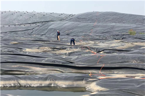 241637723735466262.png 圖片18_副本_副本.png