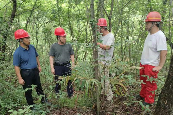 211658374323114468.jpeg 44.jpg