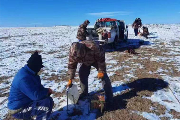 231669183946153462.jpeg 231669183946153462.jpeg