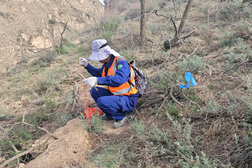 011751362289180461.jpeg 地震2_副本.jpg